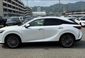 Lexus RX 2,5L 2023