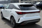 Lexus RX 2,5L 2023