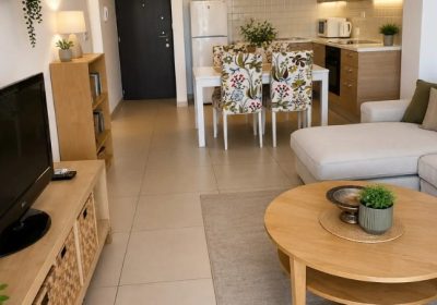 0101-1