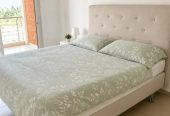 1-bedroom apartment to rent