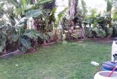 6-bedroom detached house to rent